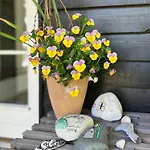 Beachfront Summerhouse With Amazing View And Peace Hesselager
