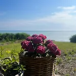 度假居 Beachfront Summerhouse With Amazing View And Peace *