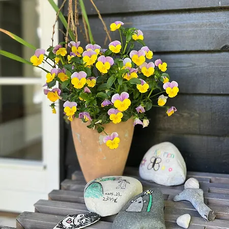 Beachfront Summerhouse With Amazing View And Peace Hesselager