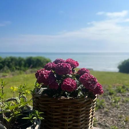 度假居 Beachfront Summerhouse With Amazing View And Peace *