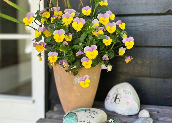 Beachfront Summerhouse With Amazing View And Peace Hesselager