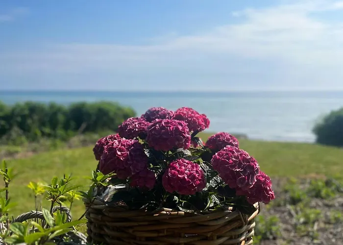 Vakantiehuis Beachfront Summerhouse With Amazing View And Peace *